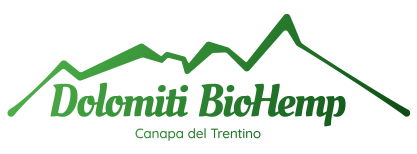 Caso Studio Ecommerce: come abbiamo fatto crescere del 75% gli ordini medi giornalieri attraverso content, SEO ed Email Marketing.